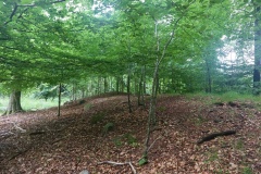 Alsted Skov Langdysse 3