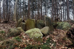 Kongsøre Skov Jættestue
