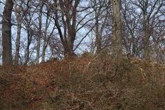 Tingstedet Langdysse (Kongsøre)