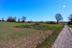 Røddinge Runddysse