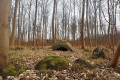 Stigsnæs Skov Runddysse
