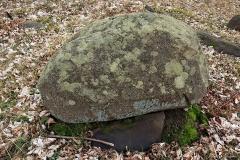 Stigsnæs Skov Runddysse