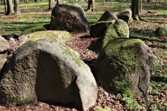Flintinge Byskov Langdysse 2