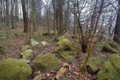 Gerdrup Langdysse 1