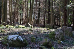Flintinge Byskov Runddysse