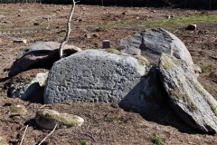 Flintinge Byskov Langdysse 1