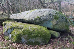 Reerslev Megalitgrav 1