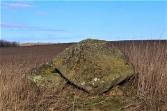 Reerslev Rævsbjerg Megalitgrav