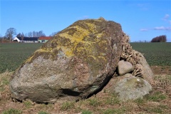 Reerslev Megalitgrav 3