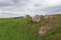 Kelstrup Langdysse 1
