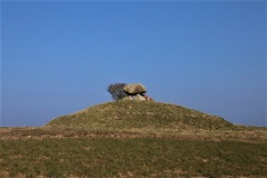 Kongstrup Runddysse