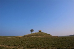 Kongstrup Runddysse
