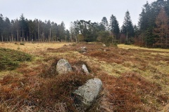 Klelund Plantage Langdysse