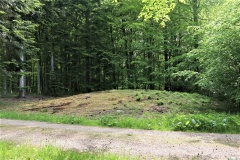 Ringelmose Skov Rundhøj 7