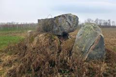 Grevlerupgård Runddysse 2