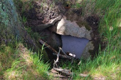 Balle Dyssen