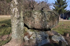 Rejnstrup Kirkeskov Runddysse