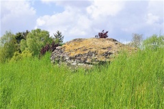 Ginnerup Jyndovnen Langdysse