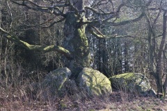 Sneslev Jættestue 2