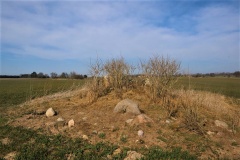 Fuglebjerg Langdysse 3