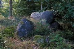 Østerskoven Langdysse 8
