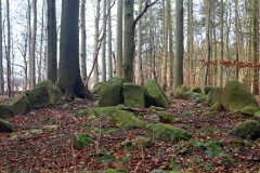 Glumsø Østerskov Langdysse 3