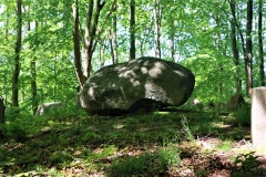 Alleskoven Langdysse 2