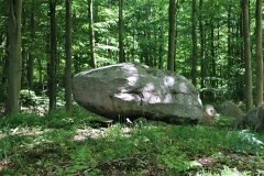 Alleskoven Langdysse 2