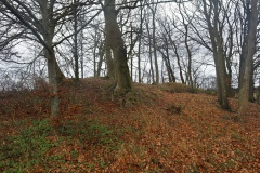 Olstrup Langdysse
