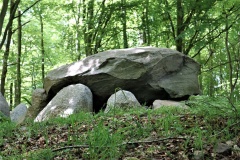 Alleskoven Langdysse 1