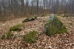 Rislev Stenskov Langdysse 2
