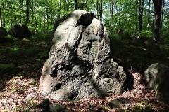 Alleskoven Langdysse 2