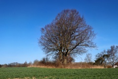 Tystrup Langdysse 3