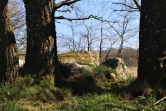 Hejring Langdysse