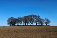 Stenagergård Langdysse