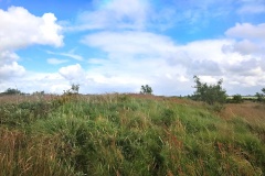 Ølstrup Langdysse 2