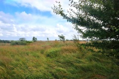 Ølstrup Langdysse 2