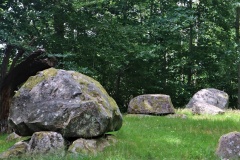 Valby Hegn Langdysse 1