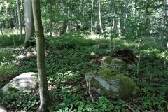 Bogø Østerskov Langdysse 1