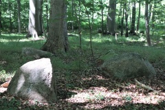 Bogø Østerskov Runddysse