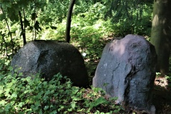 Bogø Østerskov Langdysse 5