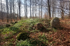 Lille Bøgeskov Langdysse