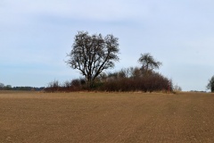 Kirke Flinterup Runddysse