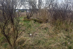 Kirke Flinterup Runddysse
