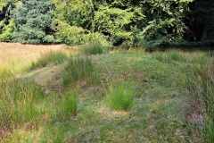 Halskov Vaenge