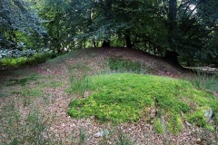 Halskov Vaenge