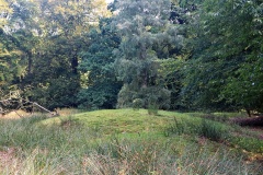 Halskov Vaenge