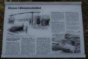 [Click for full size image]  Blommeskobbel Langdysse 1 - PID:36889