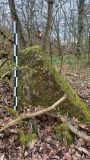Knudsker Bautasten 2