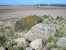 Kyndby Marker Runddysse